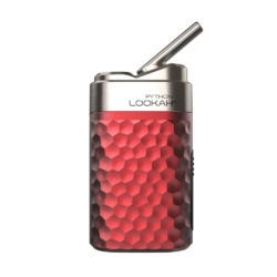 BUY 1 GET 1 FREE Purple LOOKAH Bear Battery | Vape India