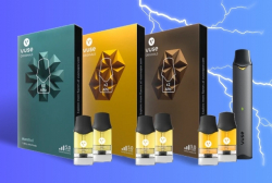 best online vape shop for disposables