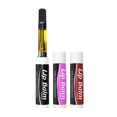 Best Discreet & DISGUISED Vapes