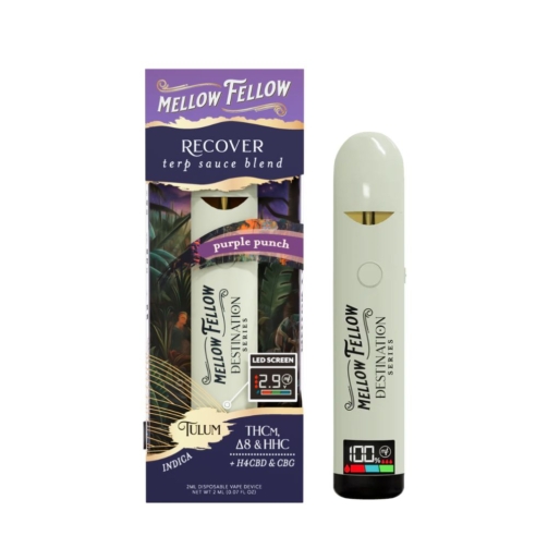 Mellow Fellow Terp Sauce Disposable - 2 Grams purple punch