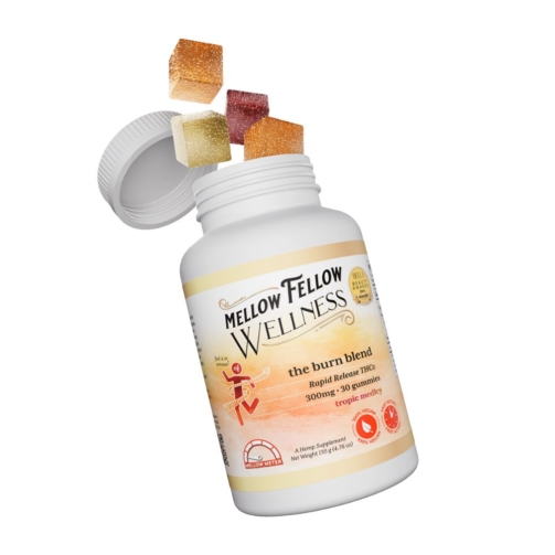 Mellow Fellow Wellness 30pc Gummies Burn Blend Tropic Medley - 300mg