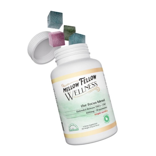 Mellow Fellow Wellness 30pc Gummies Focus Blend Tropic Medley - 600mg