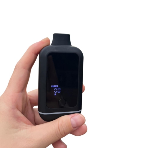 Discreet Dual 510 Cart Vape - LED Screen