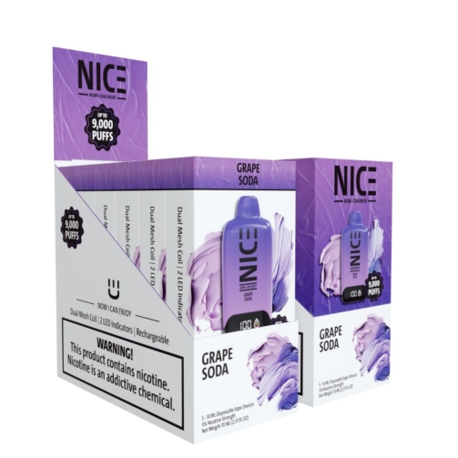 NICE 9000 Puff Disposable