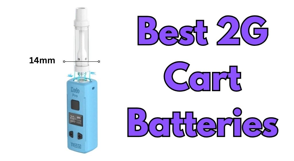Best 2G Cart Batteries: 5 Batteries That Actually Fit Large Carts