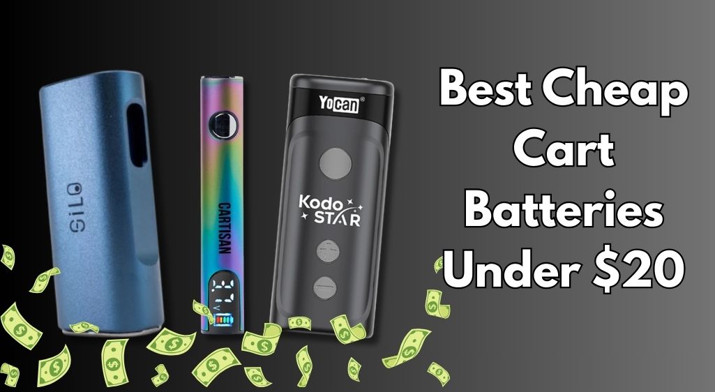 Best Cheap Cart Batteries Under $20 (That Are Actually Worth Buying)