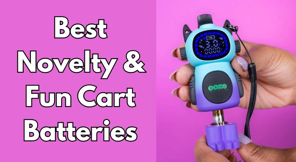 Best Novelty & Fun Cart Batteries (2026)