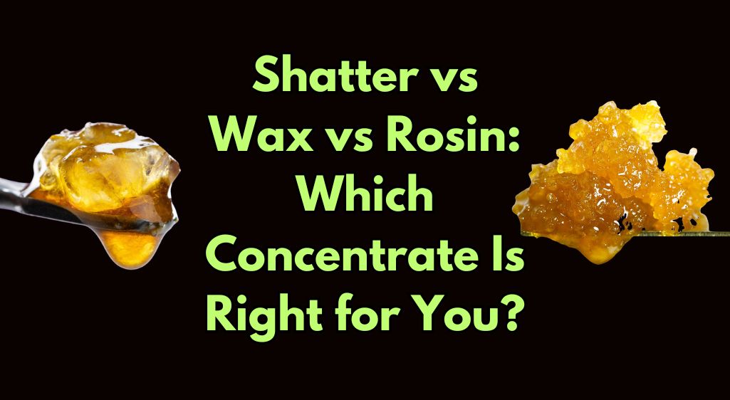 Shatter vs Wax vs Rosin: Which Concentrate Is Right for You?