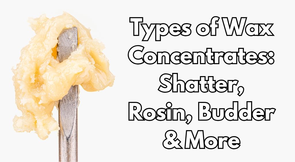 Types of Wax Concentrates Shatter, Rosin, Budder & More