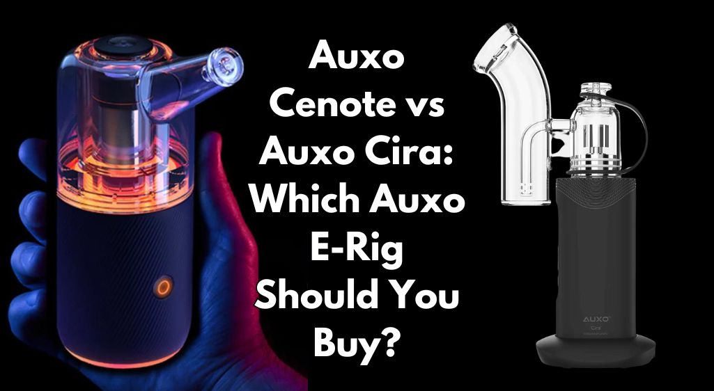 Auxo Cenote vs Auxo Cira: Which Auxo E-Rig Should You Buy?