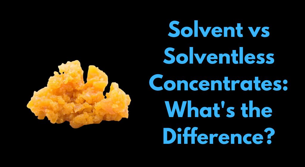 Solvent vs Solventless Concentrates: What's the Difference?
